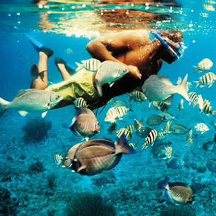 Almasi_Safari_Tours_Activities_snorkelling