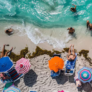 Almasi_Safari_Tours_Activities_swimming sunbathing